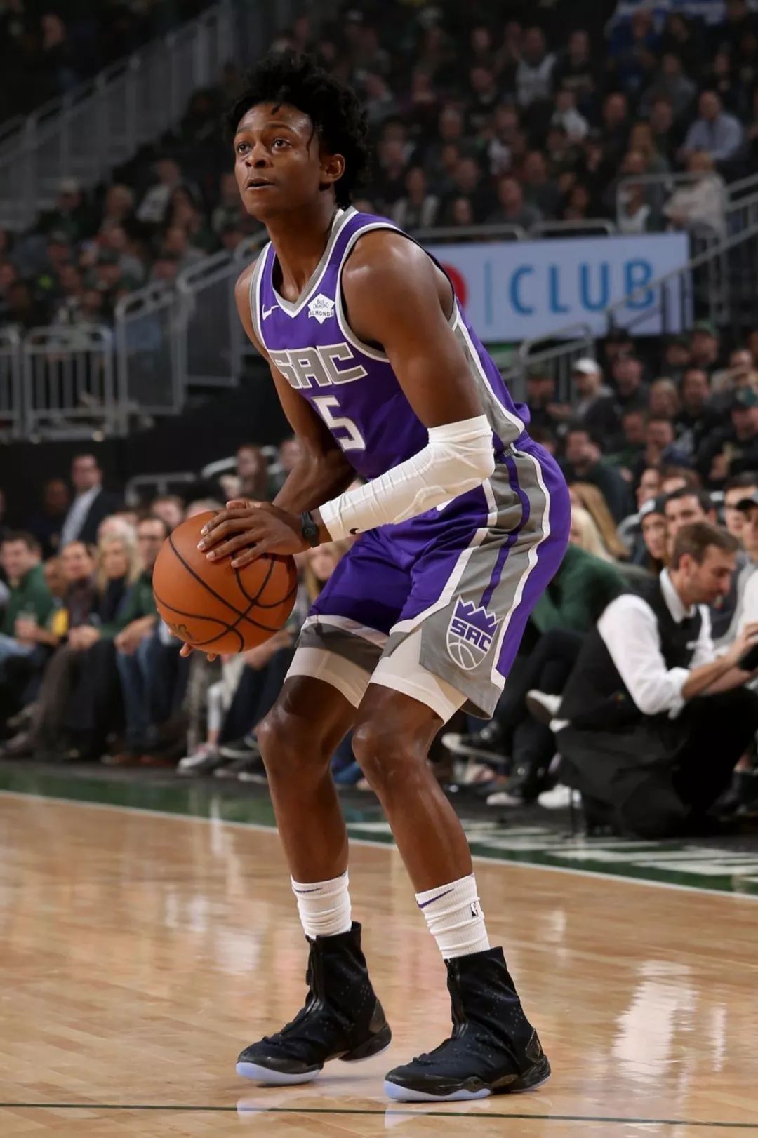 灰熊的秘密 灰熊的秘密